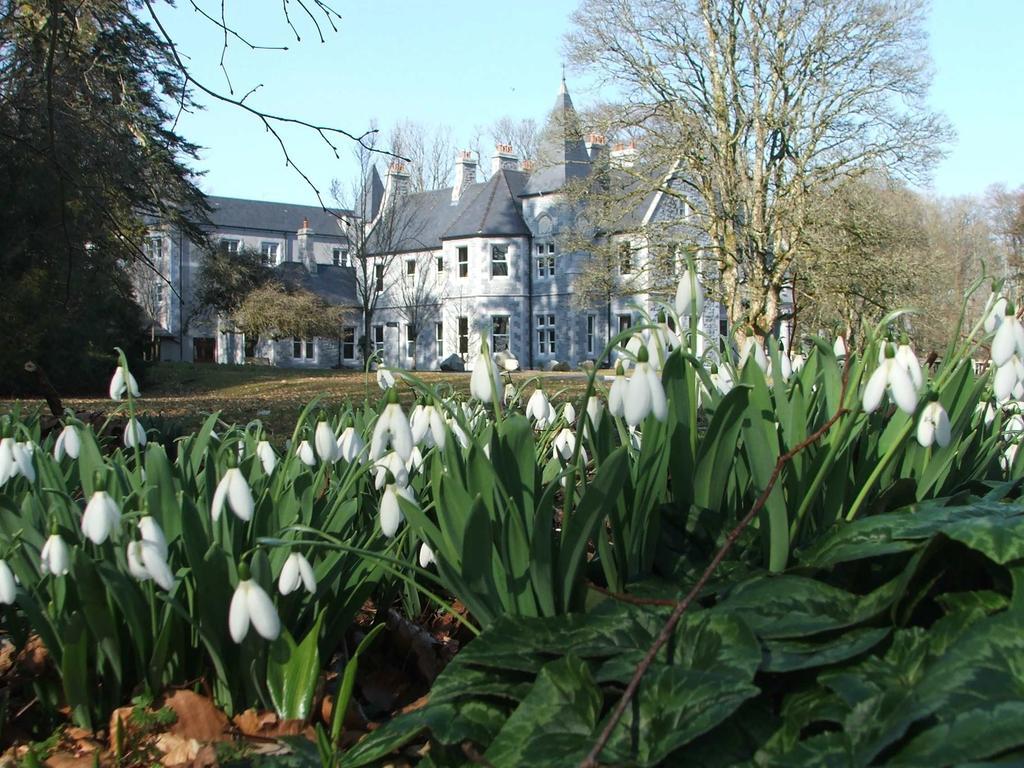 Mount Falcon Estate Ballina  Exterior photo